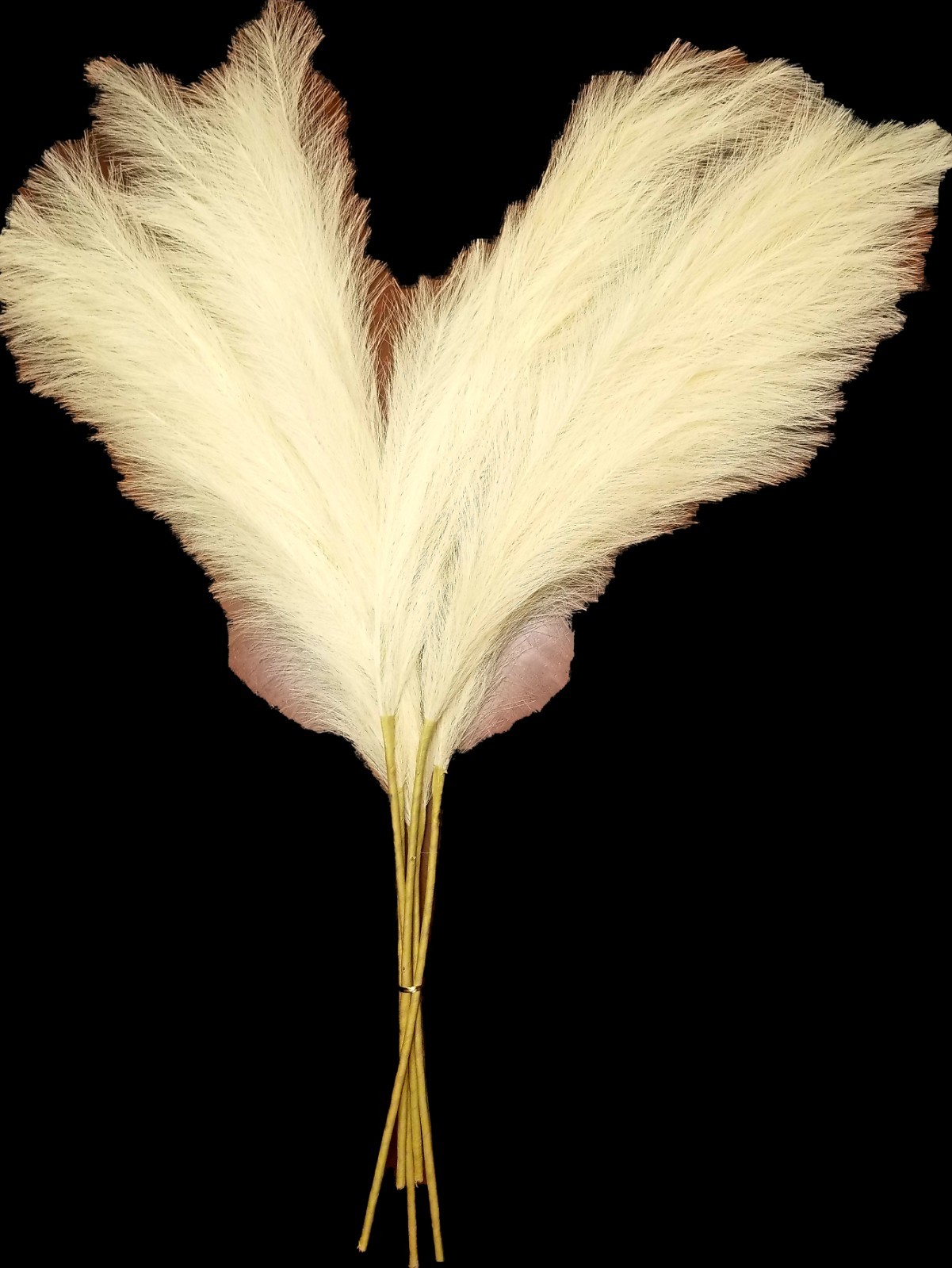 Evodis Faux Artificial Pampas Grass Beige six soft extra-large stems