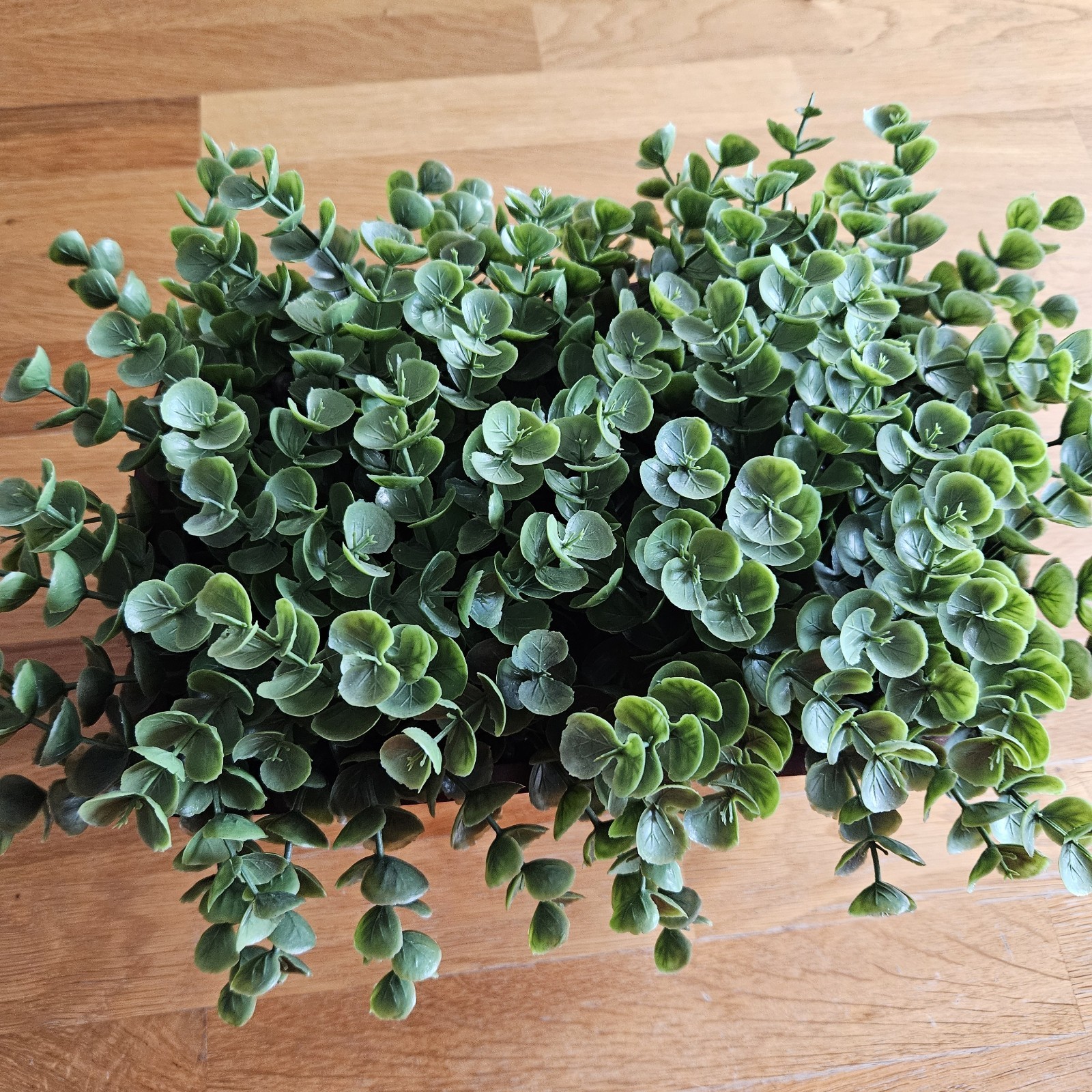 Faux Eucalyptus Boxwood with Cascading Leaves