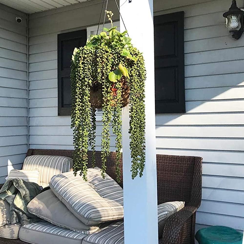 6pcs Artificial Fake String of Pearls Plant Faux Fake Hanging Succulents Plan…