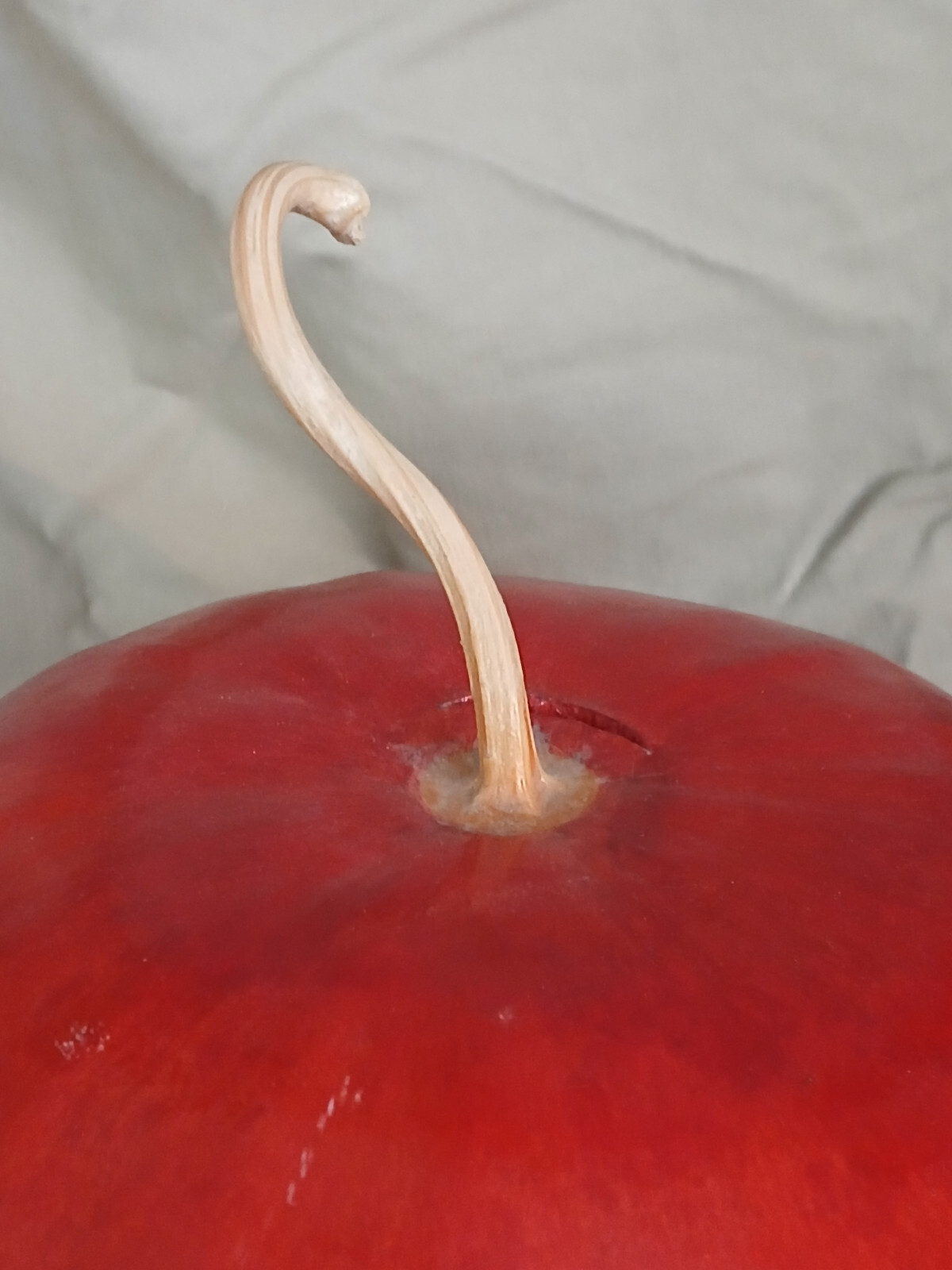 Large Apple Fall Perfect Natural Gourd Dried Decor Painted Red6 x 8 in