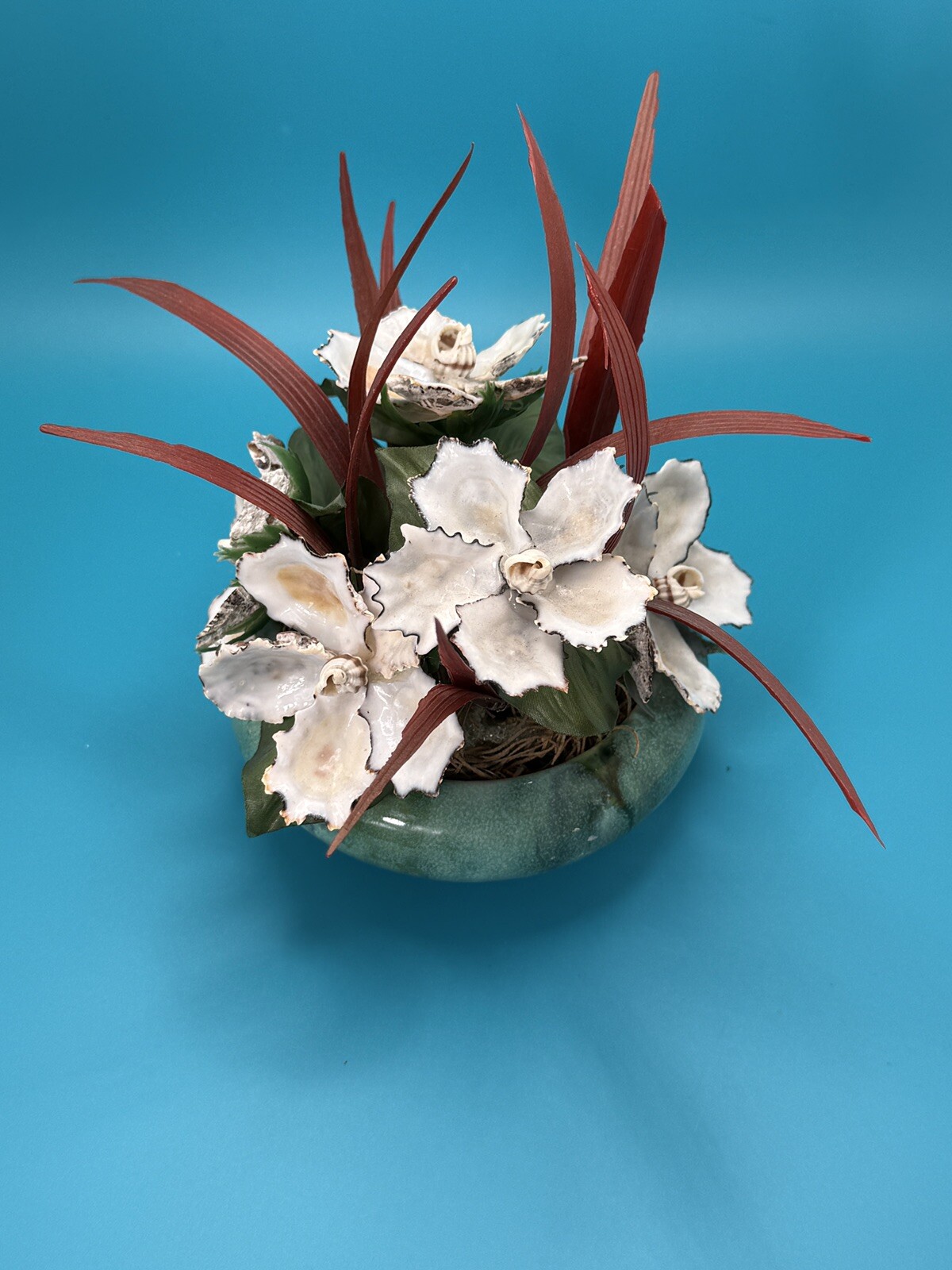 Handmade Seashell Flower Arrangement with Realistic Detailing in Ceramic Base