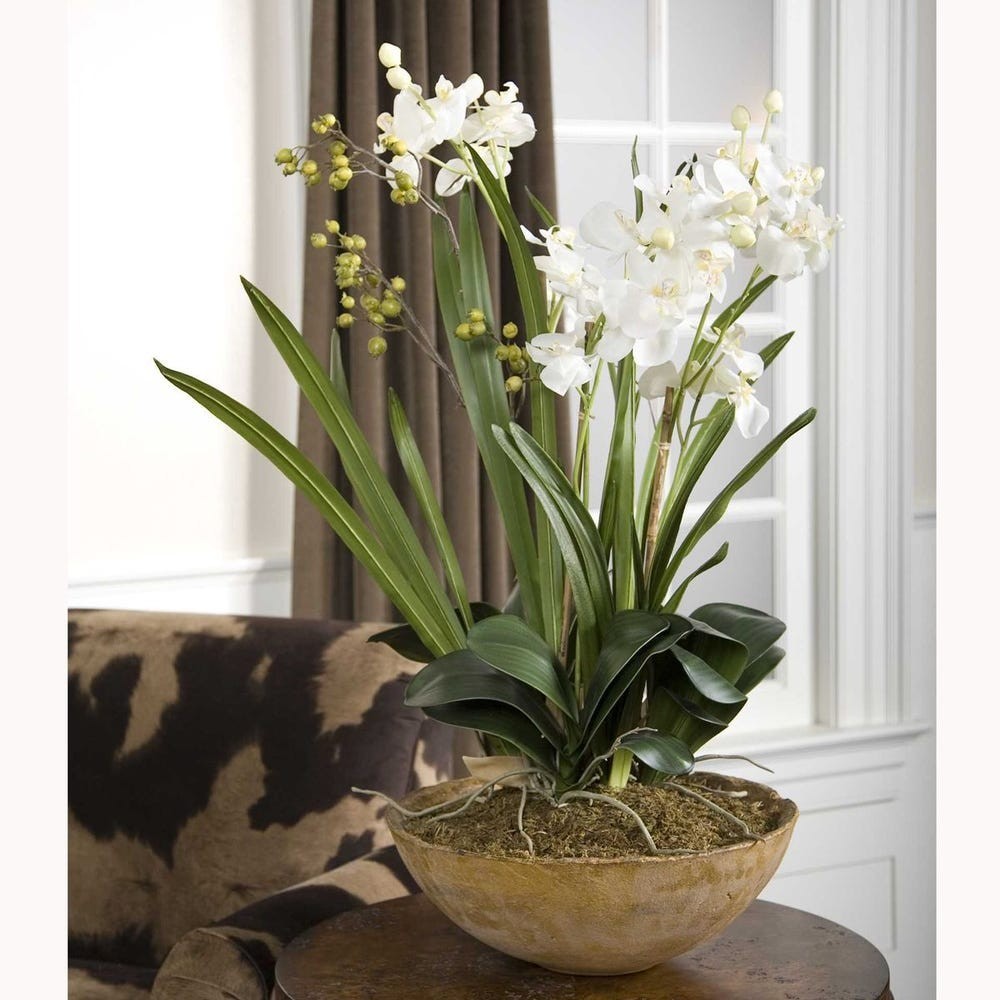 Uttermost UT-60039 Moth Orchid Planter in Hand Painted, Natural Brown, White
