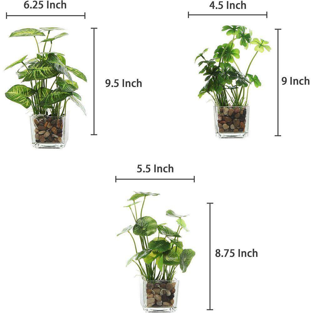 9.5 In. Green Indoor Small Artificial Potted Plants in Clear Glass Pot Set of 3