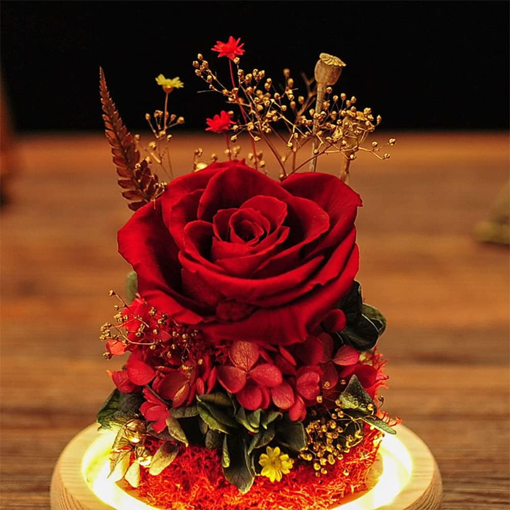 Eternal Rose Gift Set in Glass Dome – Red | Preserved Rose with LED Light | Vale