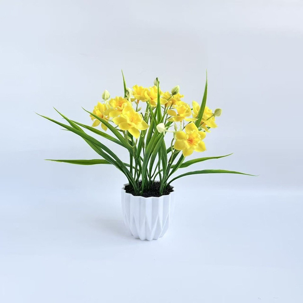 26.5 x 9.5cm Narcissus Flower Arrangement in Pot for Indoor Floral Styling