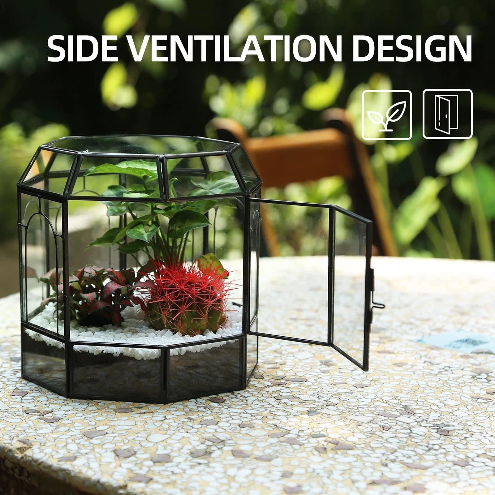 Large Glass Terrarium Centerpiece for Succulents, Cacti, Air Plants, Mini
