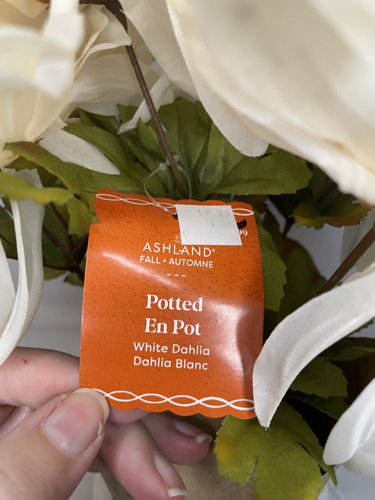 New Ashland Artificial Floral White Dahlia 6-8 Lg Blooms Light Pot 9”x12” HOM15