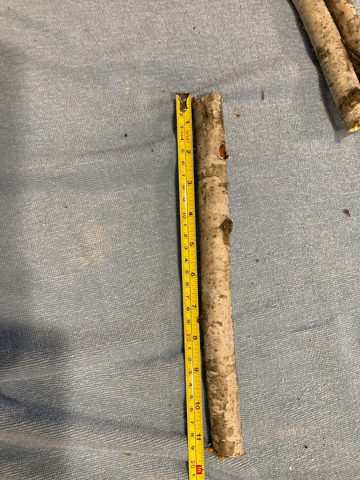 4pc Natural Dried Tree Branch Birch Stick Flower Home Garden Party Floral Decor