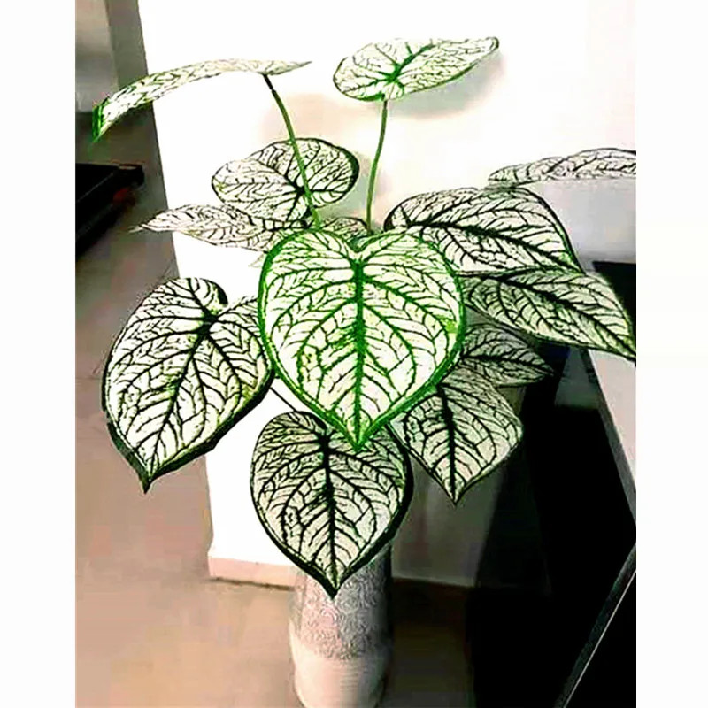 75CM 18Leaves Artificial Palm Tree Large Tropical Plants Shrub Rare Fake Flower