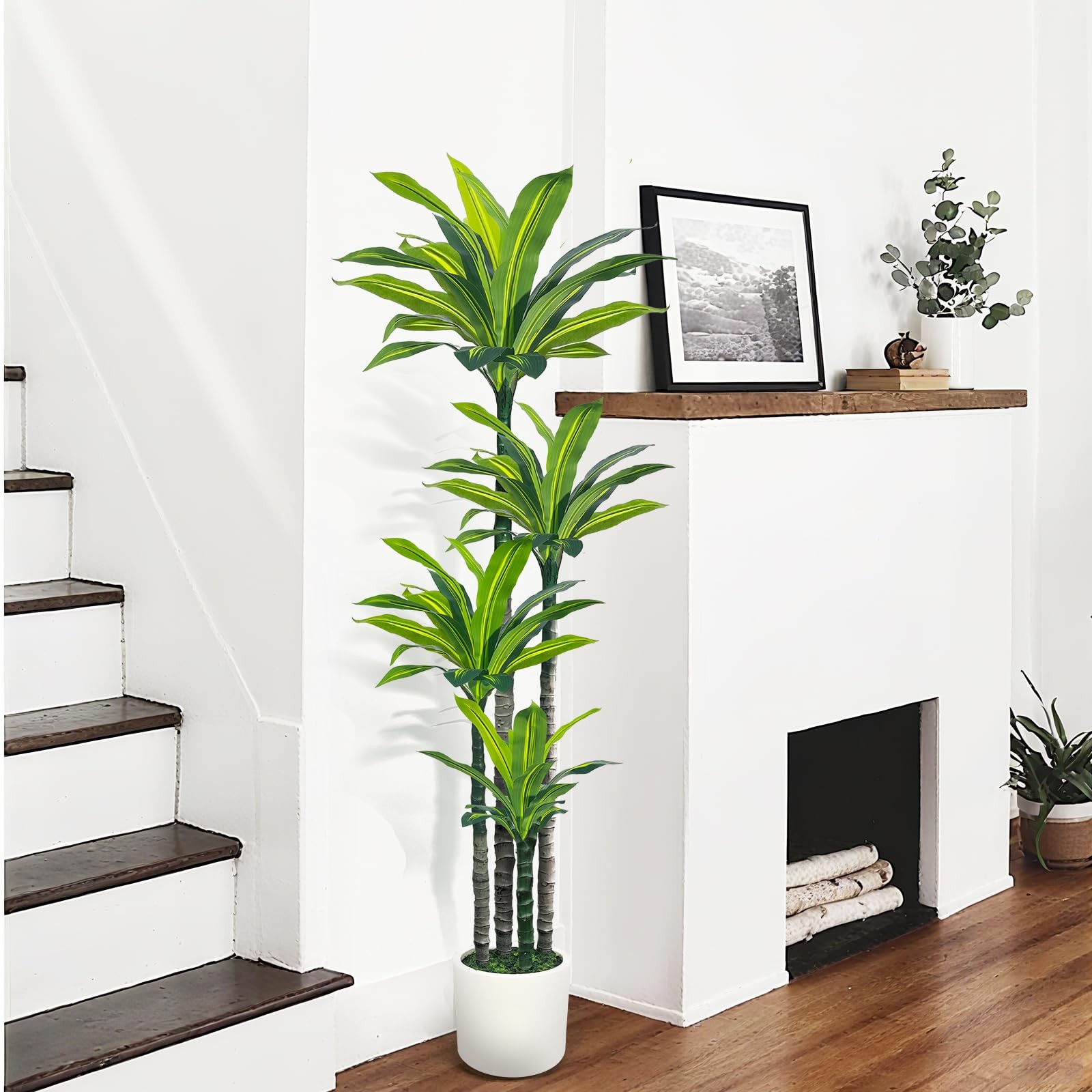 Artificial Dracaena Tree 6ft, Tall Fake Dracaena Plants with White Planter, F…