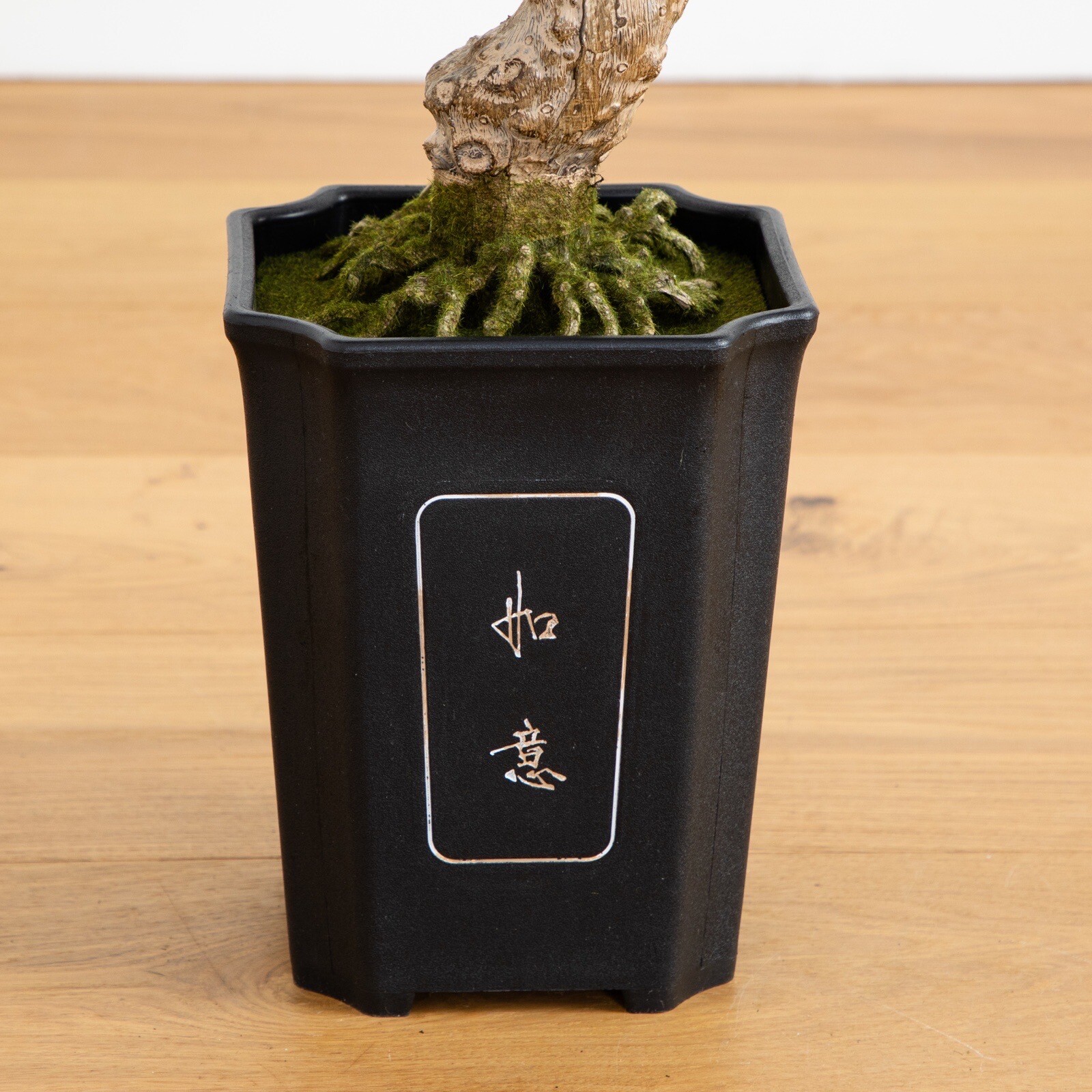 30″ Artificial Cedar Bonsai Tree w/517 Lvs in Square Black Vase. Retail $197