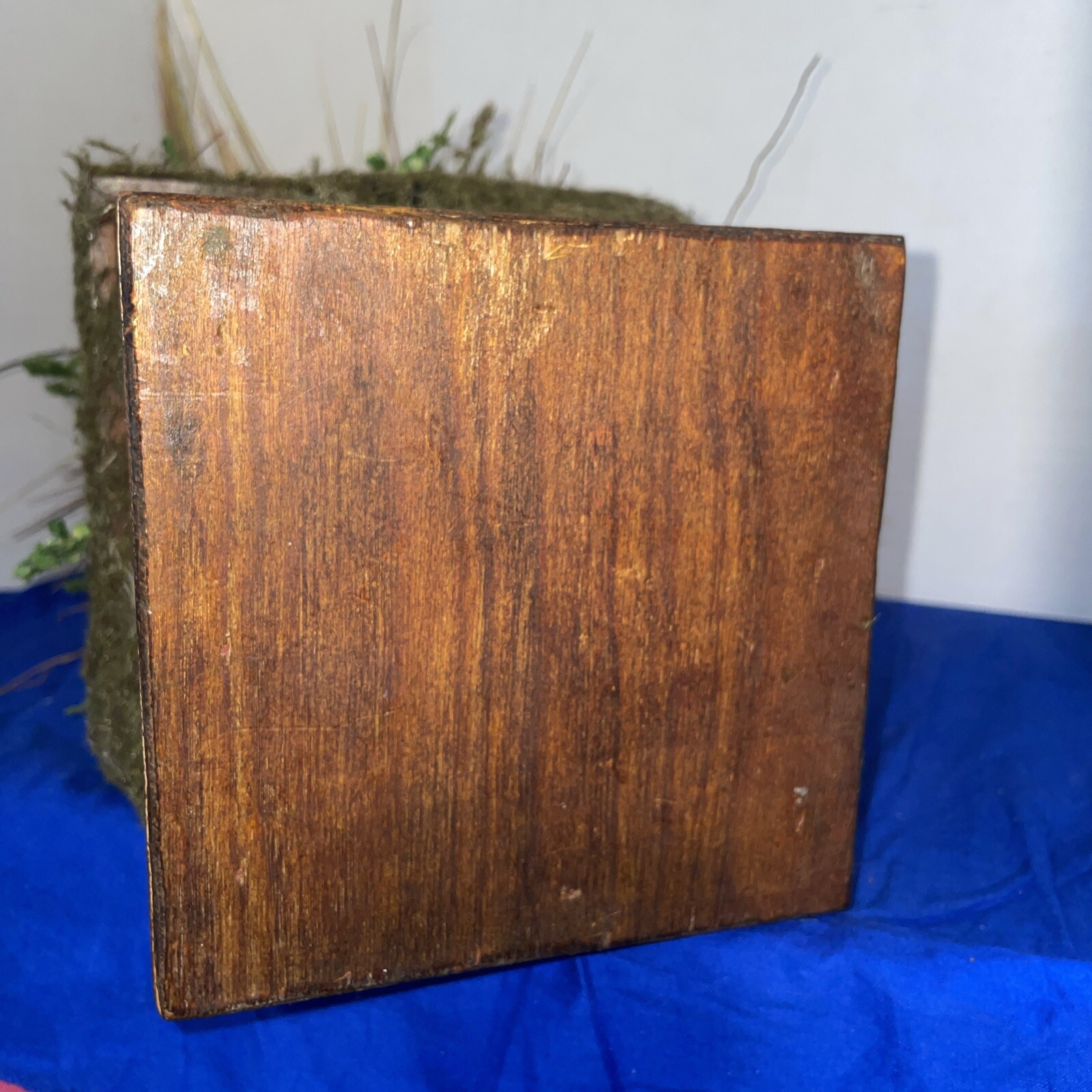 24″ Grass in Multiple Colors In Handcrafted Wood &Wicker Pot W/Moss- Estate Find