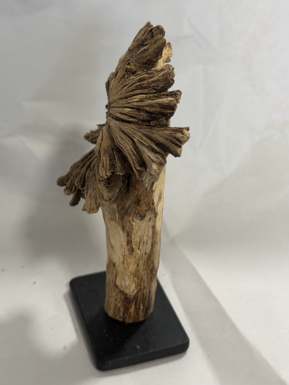 Rare Guatemala Wooden Tree Flower / Tree Ear on Iron Stand.