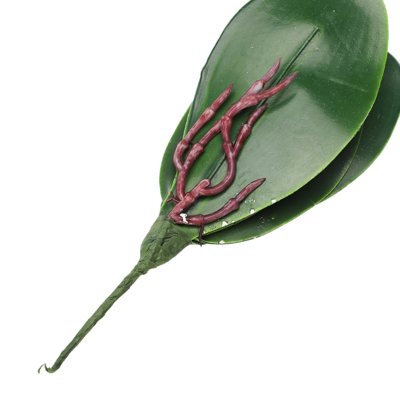 Eva Large 4 Pieces Of Phalaenopsis Leaves Orchid Leaves Wedding Home Decorati US