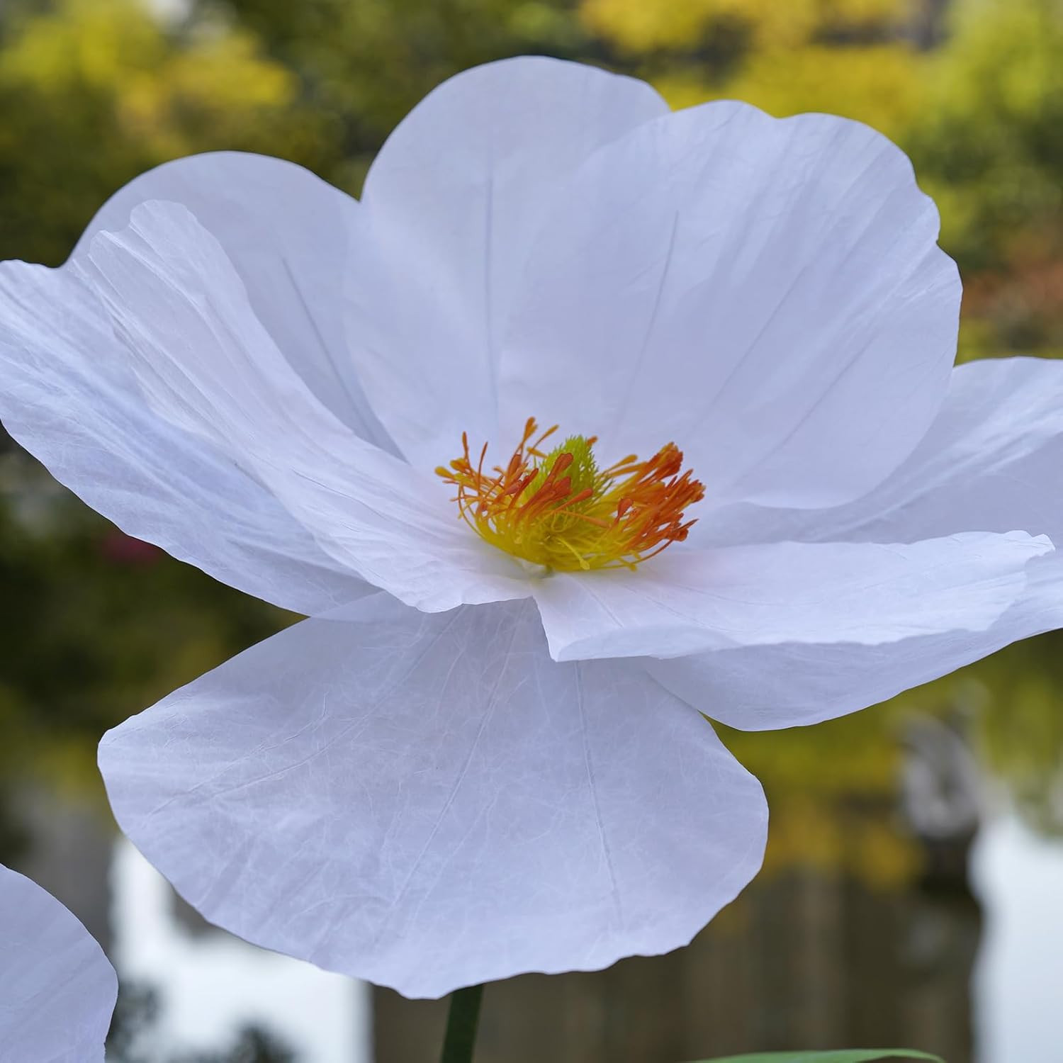 Giant White Paper Poppy Flowers for Home Decor & Events – Handcrafted Stand Incl