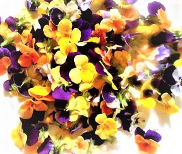 FRESH EDIBLE /GARNISH FLOWERS Multi Color Violas Free Overnight Ship WEDNESDAYS