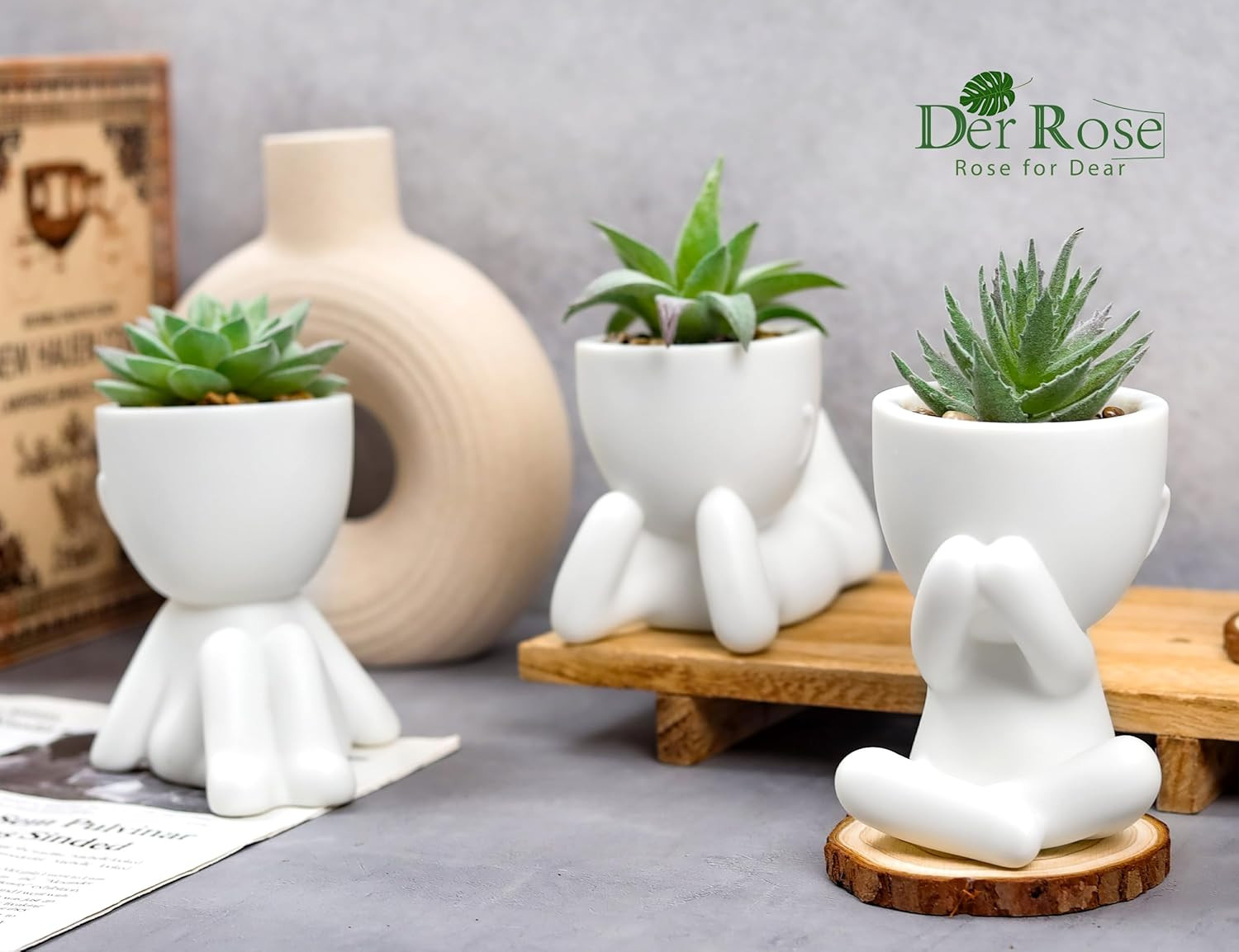 3Pcs Fake Succulents Plants Artificial for Bathroom Bedroom Home Room Decor Aest