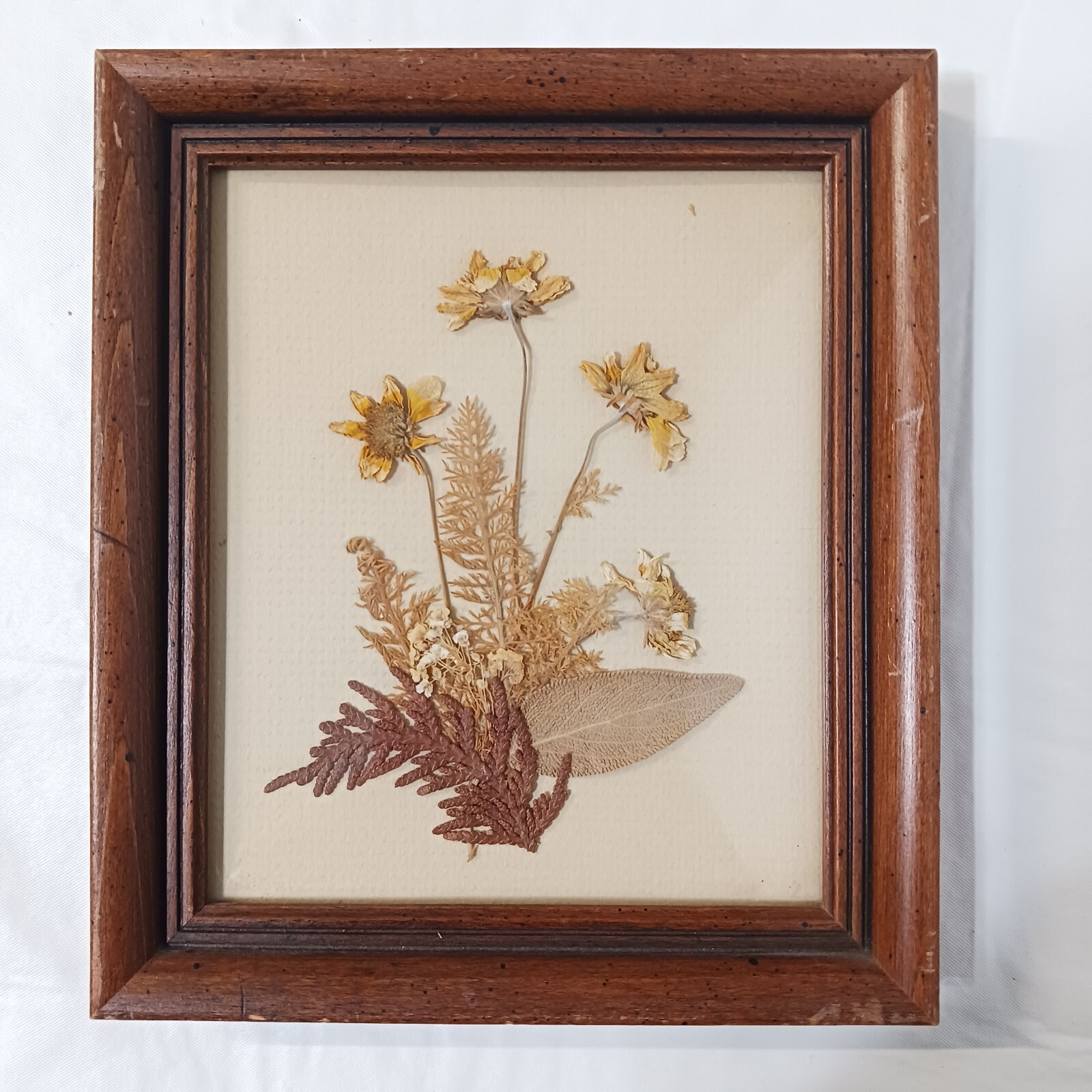 Framed Dried Flower Arrangement 7×6 Multicolored Custom Framed