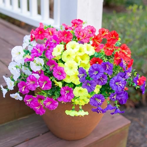 6 Mixed Color(2 Fuchsia, 2 Purple, 2 Yellow, 2 White, 2 Red, 2 Hot Pink)