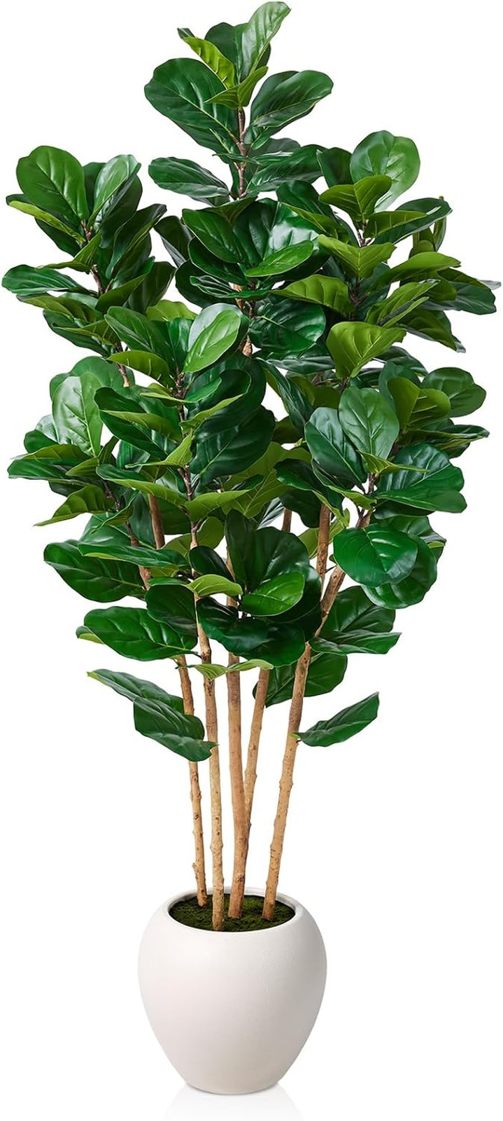7FT Artificial Fiddle Leaf Fig Tree with White Planter for Home Decor