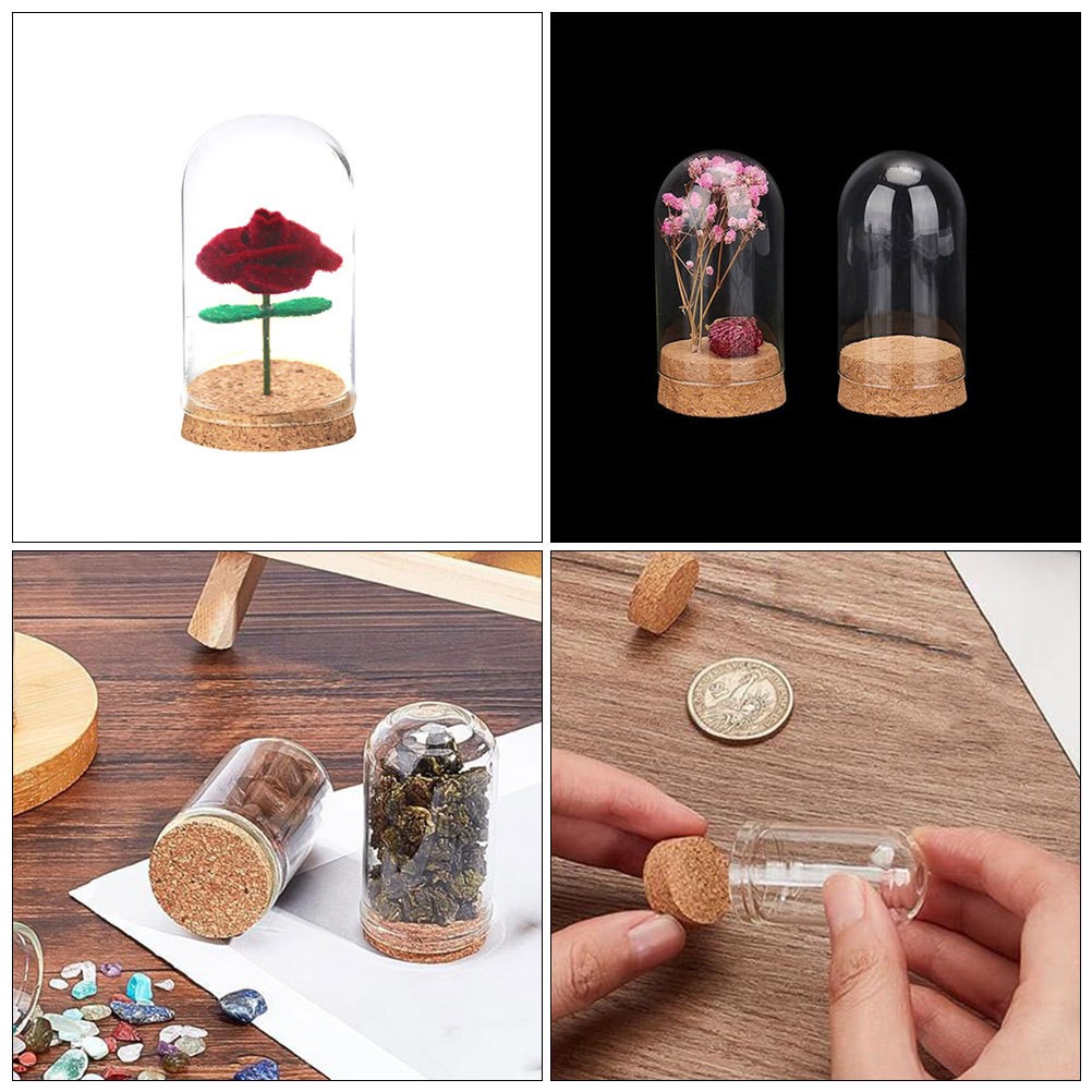 4Pcs Durable Transparent Glass Bell Jar Covers for Flower Protection