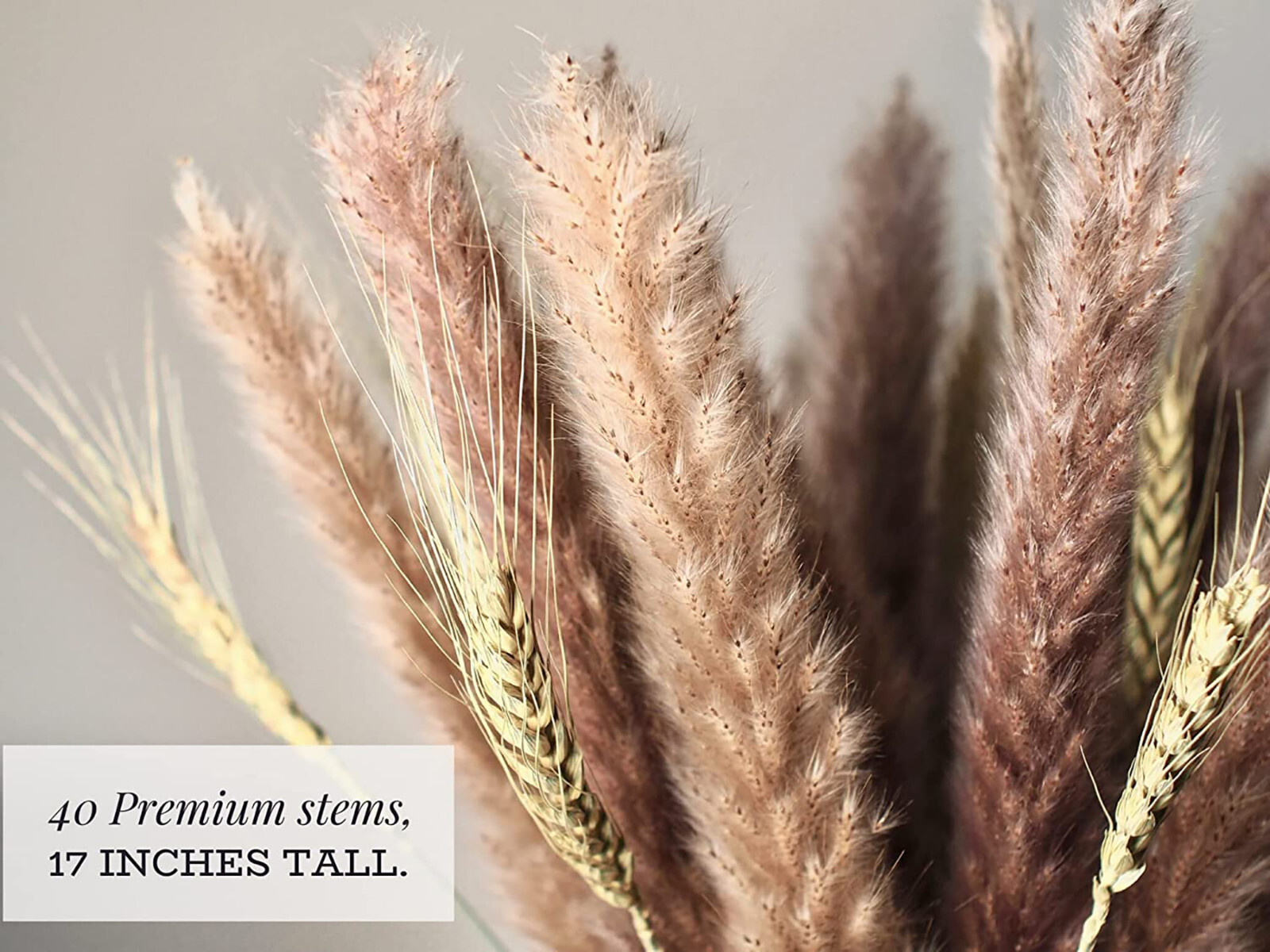NEW 40-Pc Pampas Grass Dried Wheat Bouquet 17″ Boho Flowers Bohemian Vase Decor