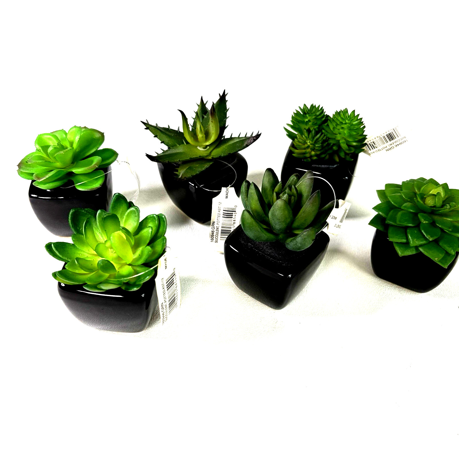 Set of 6 Artificial Mini Succulents in Black Ceramic Pots New With Tags