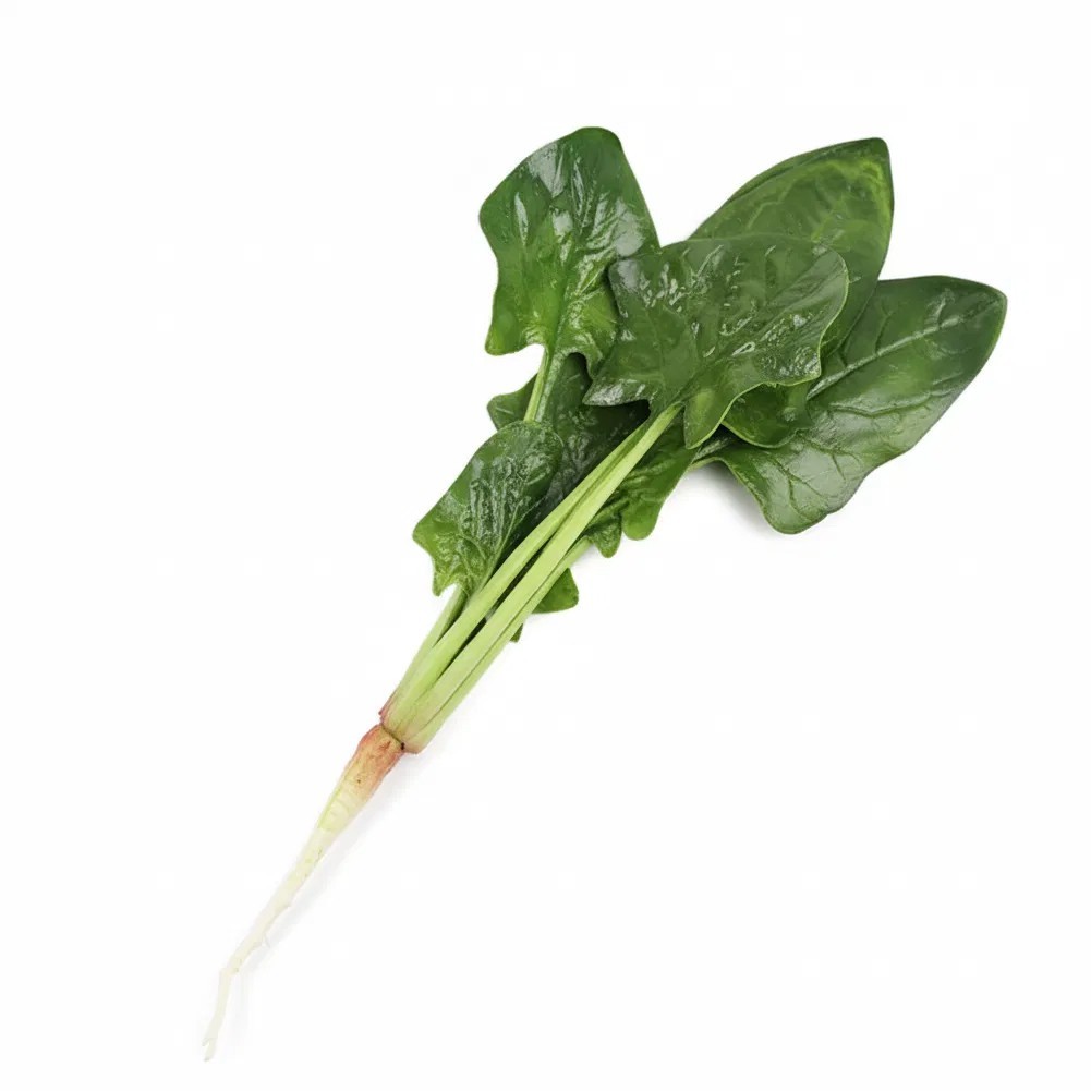 Decorative Spinach Piece for Spring Summer Fall Winter Interior Accents
