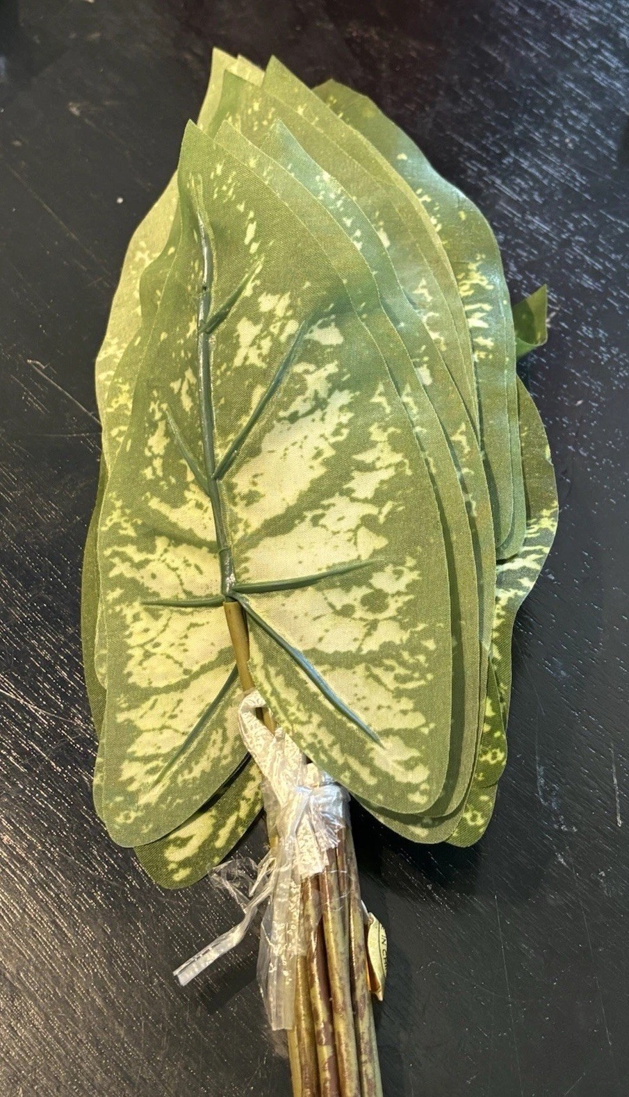 Caladium Bush 16” Faux W/14 6” Leaves 5 Pk Bundle~Green & White Molted Elephant