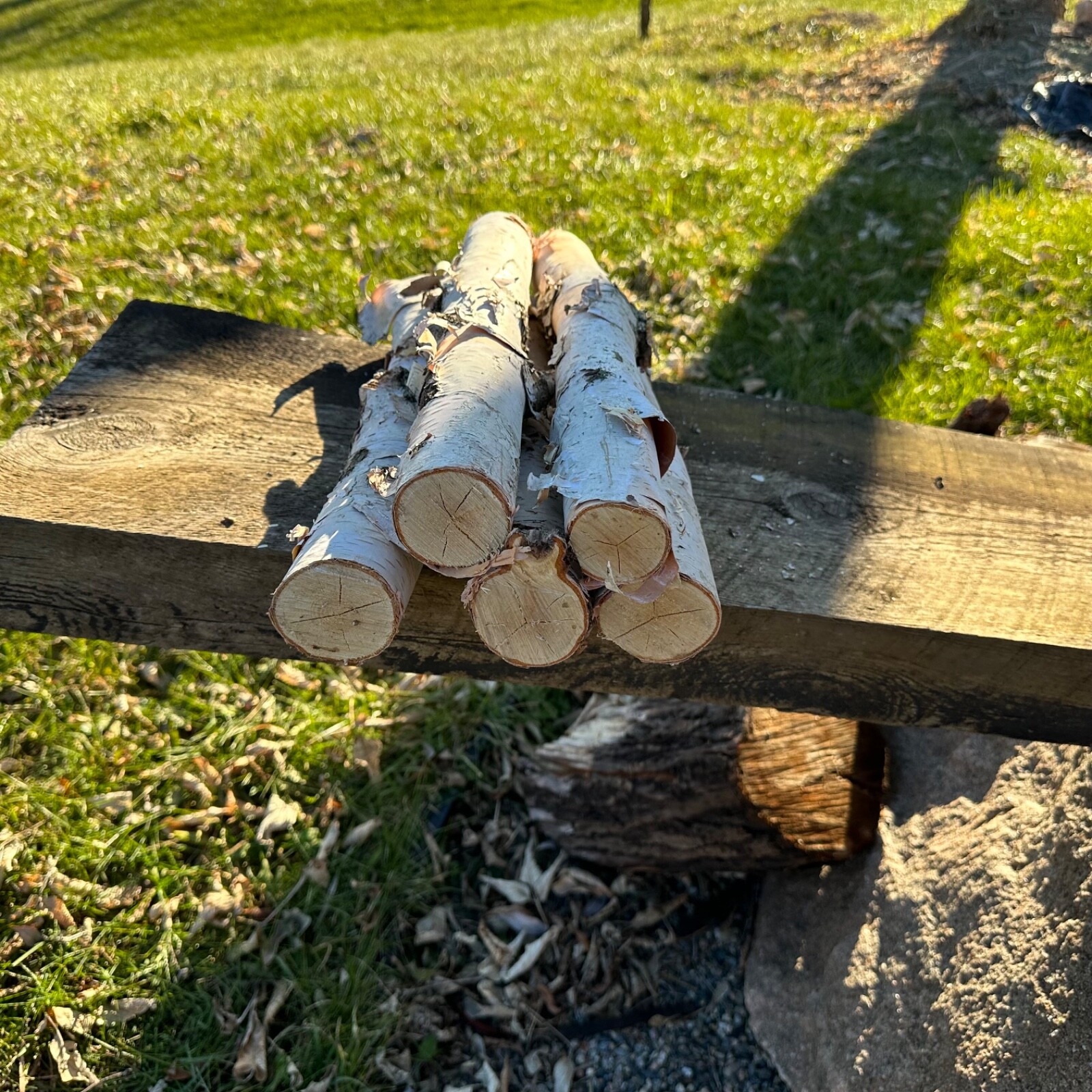 White Birch 5 Pc 14”-16” Long nice Decor Log Set Real Wood dried