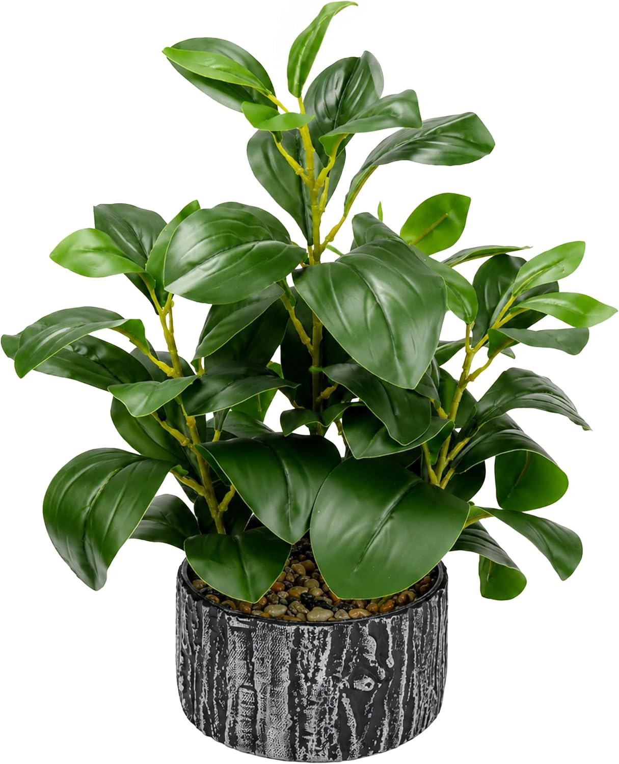 Der Rose 15.7″ Artificial Plants Indoor, Money Leaf Fake Plants in Pot for Desk
