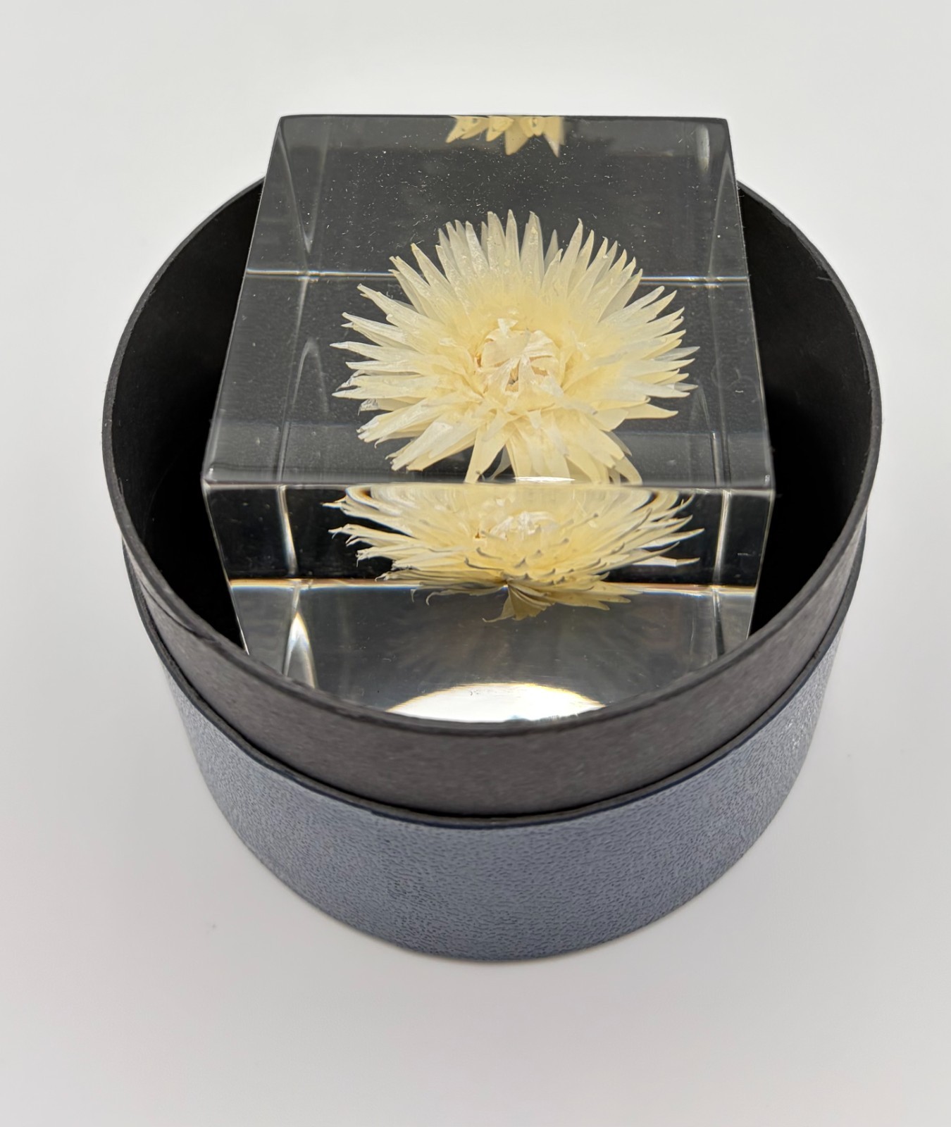 Luxury Natural Real Flowers/Seeds/Plants in Acrylic (not Epoxy Resin), 5CM / 2″