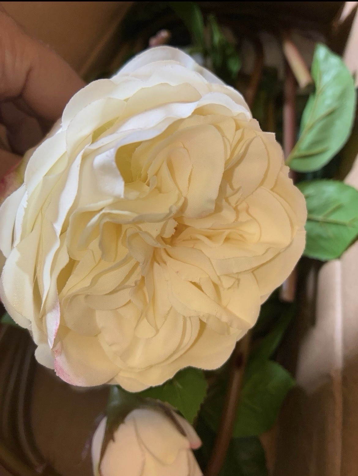 Real Touch Artificial Roses (Set of 6) – 23.6″ Long Stem White Garden Rose