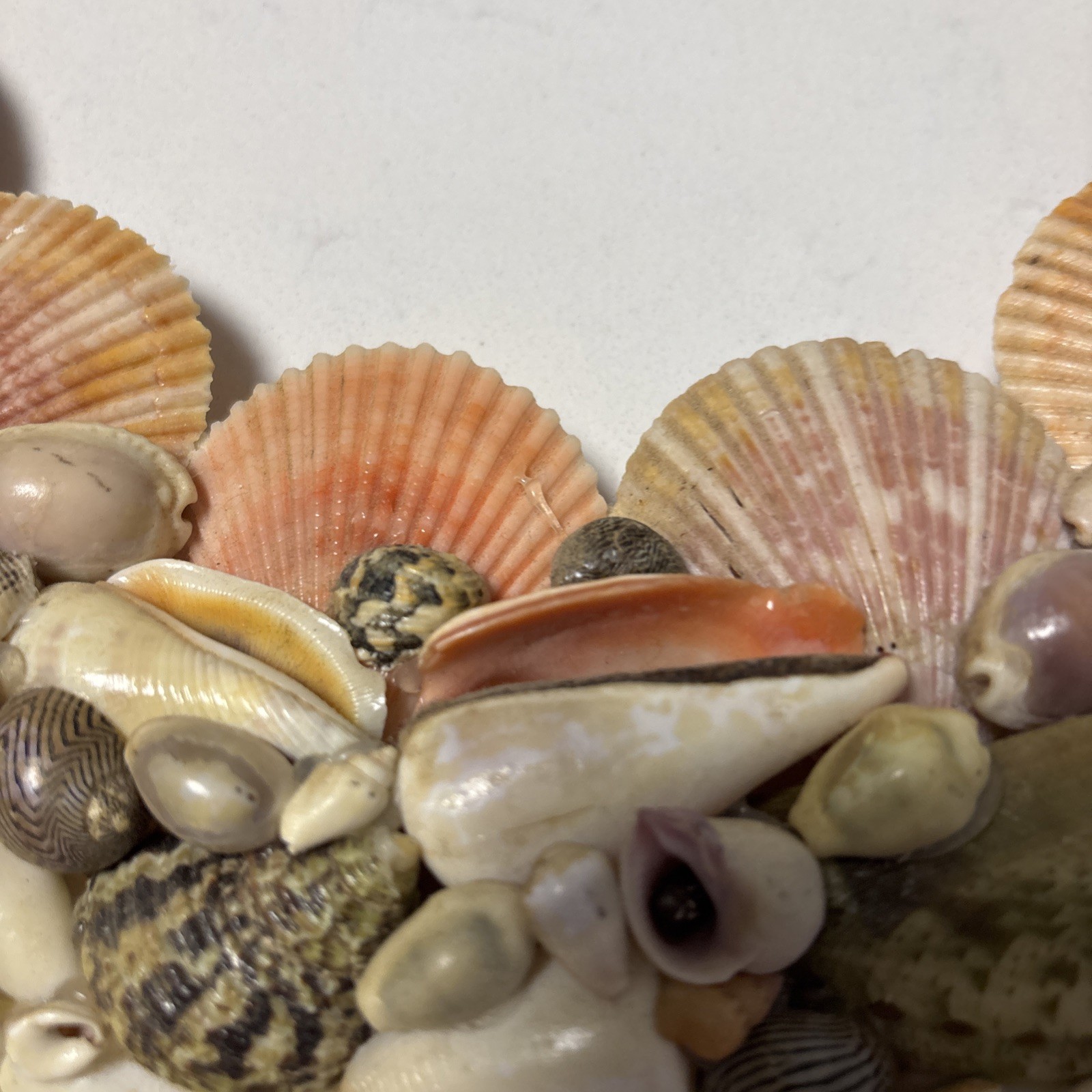 Handcrafted Sea Shell Wreath 14”Beach Seashore Coastal Decor Beautiful Vintage
