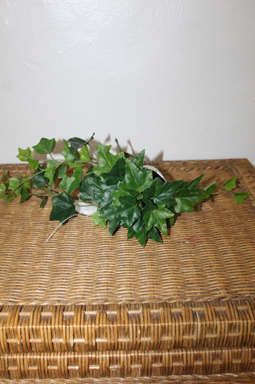 Williams Sonoma Artificial Potted Green Leaf.