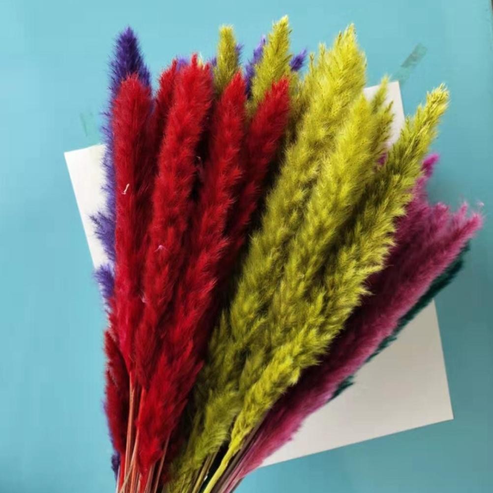 15 Natural Small Pampas Grass Photography Props For Home Decor Easy To Use