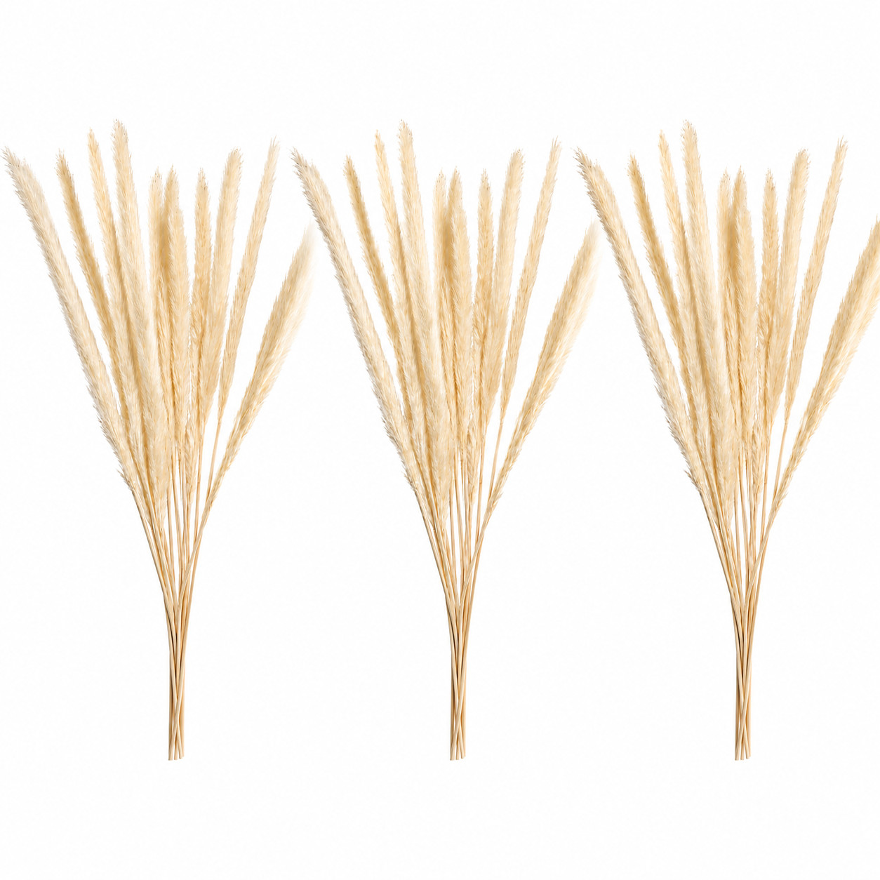 3 Pack Natural Dried Pampas Grass 45 Stems Total Boho Vase Wedding Decor