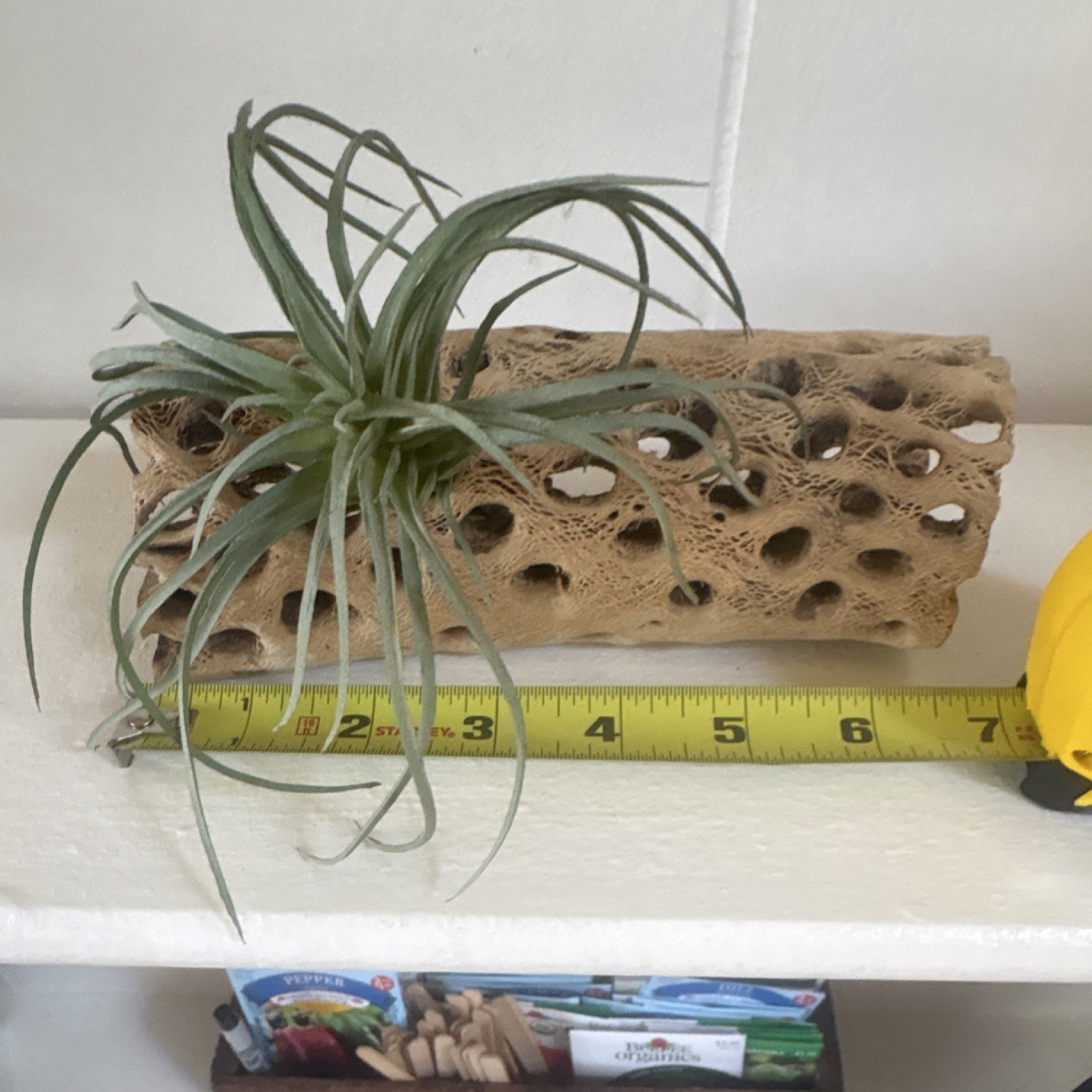 Fake Air Plant Driftwood Decor Coastal Boho Shelf Accent