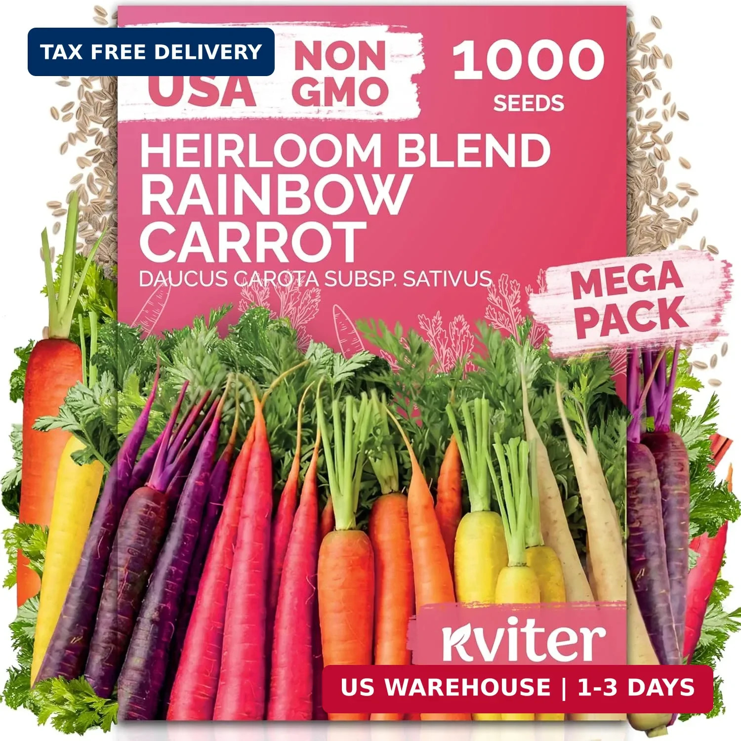 KVITER 1,000 Rainbow Carrot Seeds (Daucus Carota) – Baby Carrots Mix, Sweet & Te