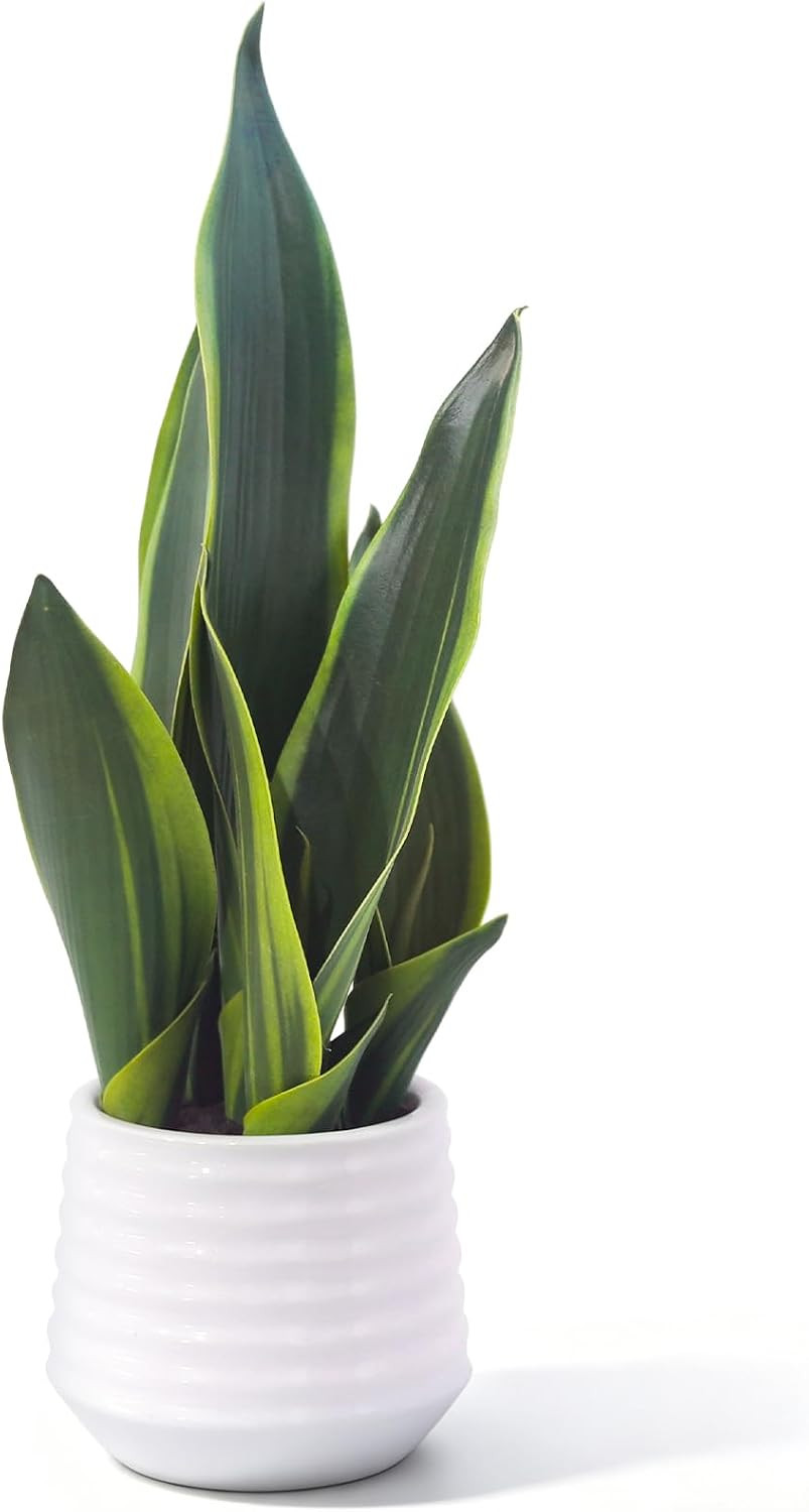 15″ Artificial Snake Plant – Perfect Faux Indoor Decor & Housewarming Gift