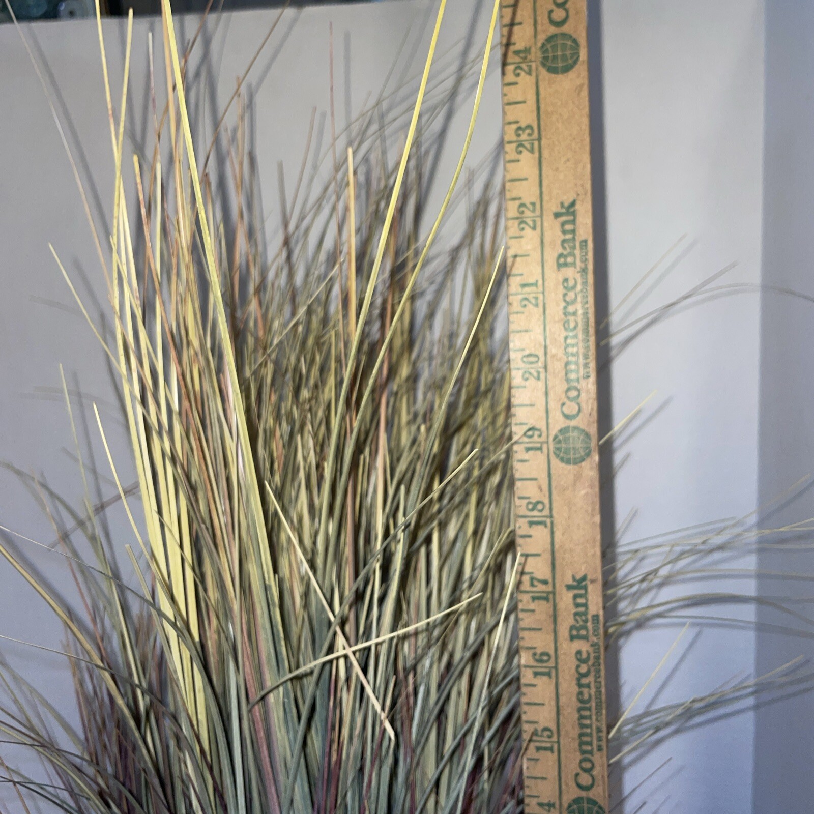 24″ Grass in Multiple Colors In Handcrafted Wood &Wicker Pot W/Moss- Estate Find