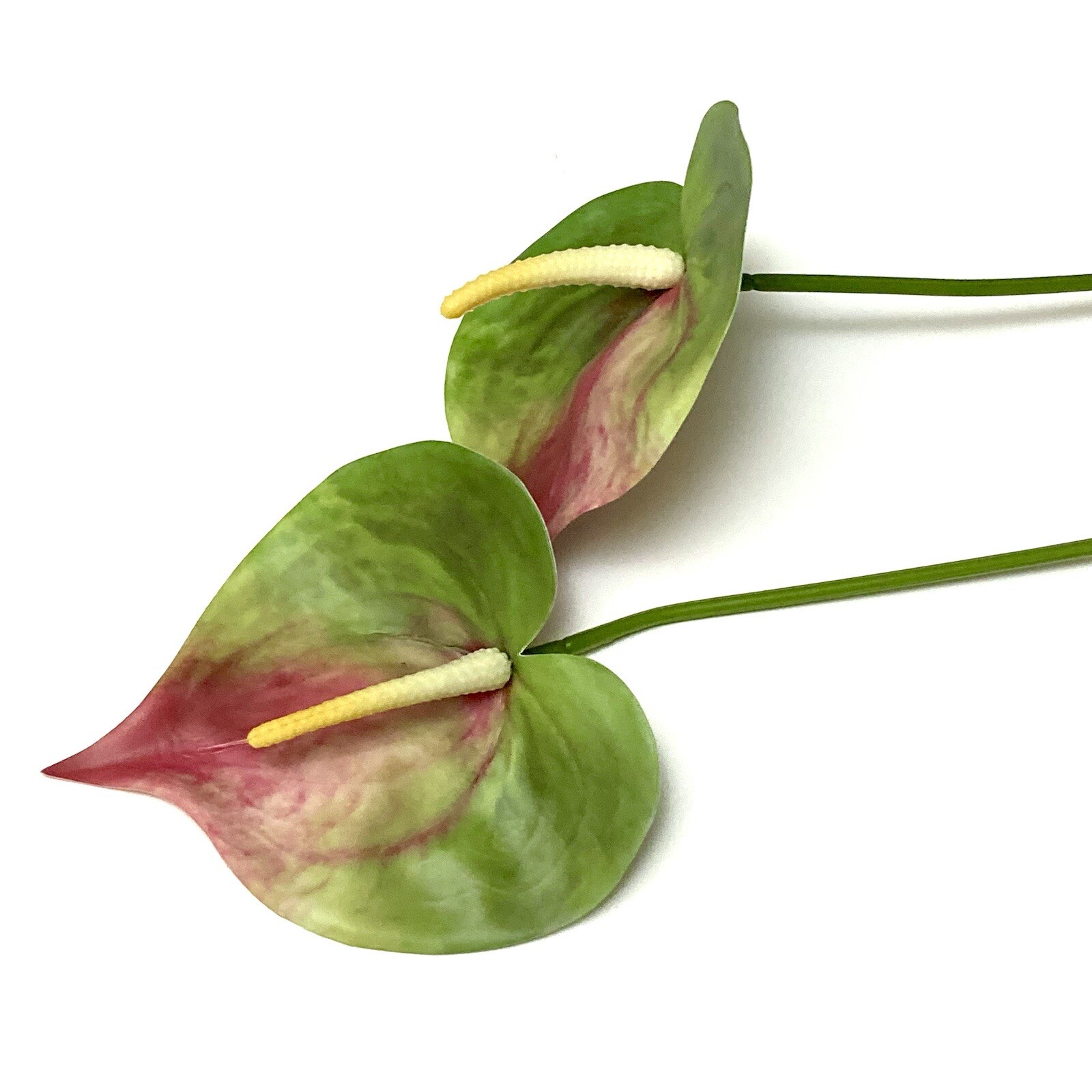 6 Realistic 25″ GREEN PINK Anthurium Stem Flower Floral Tropical Artificial Fake