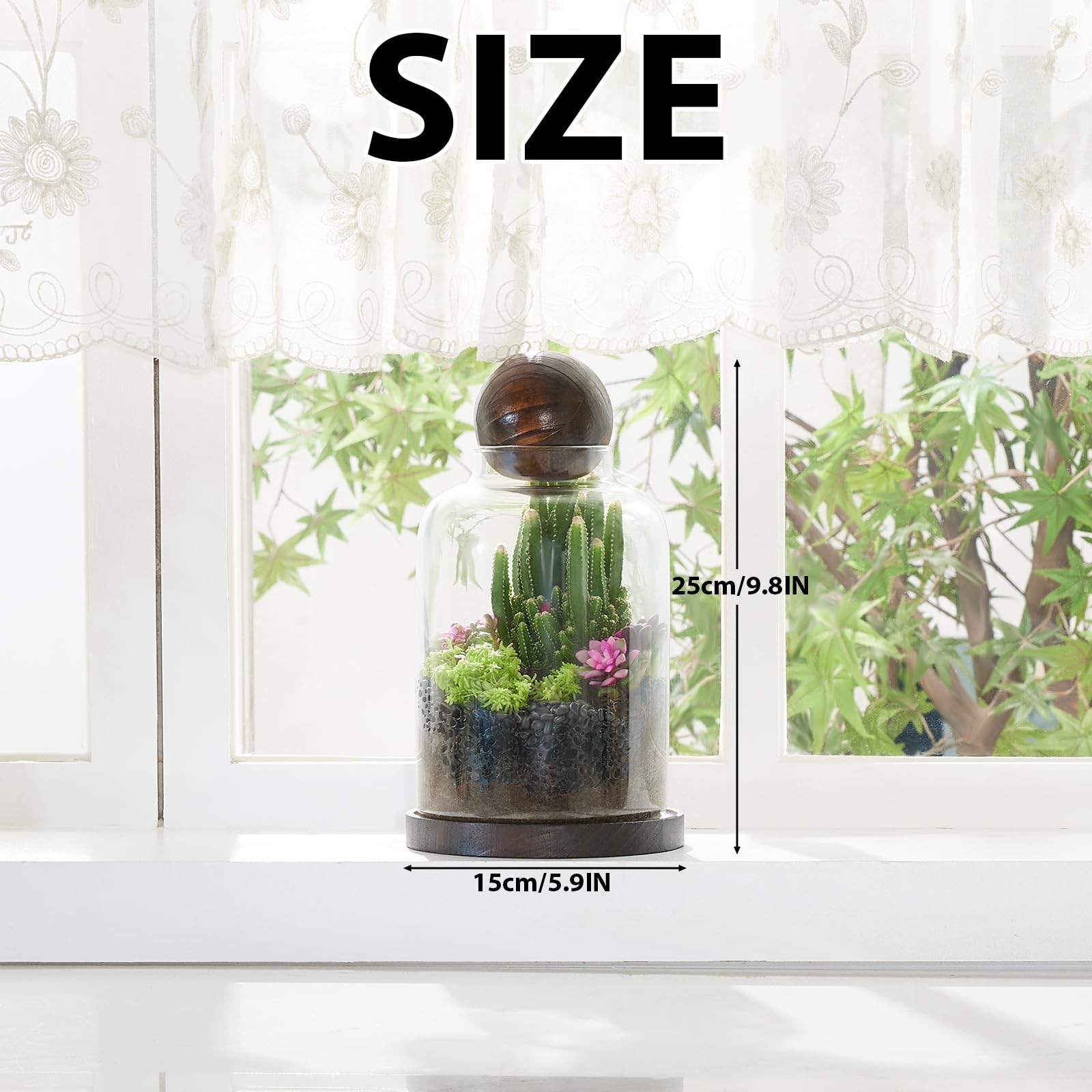 Large Glass Terrarium for Succulents & Moss – Decorative Plant Display with Wood