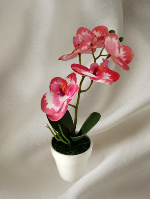 Artificial mini Phalaenopsis orchid