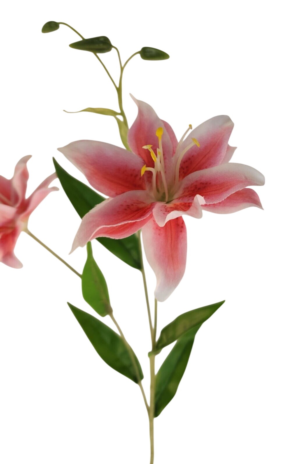 Luxury Artificial Hot Pink Lily Stem 27 Inch | Faux Asiatic Lily with Buds | Sym