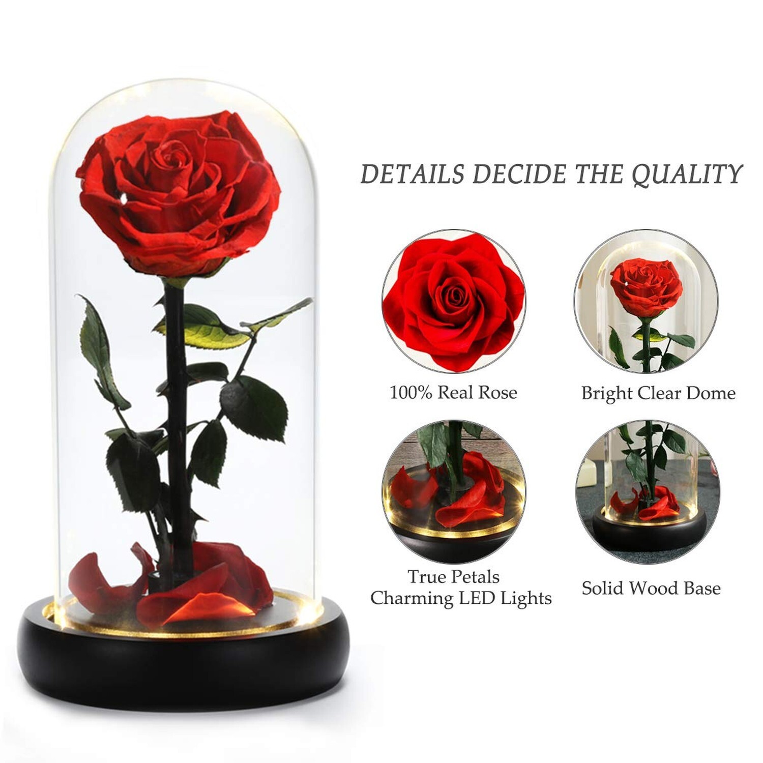 Dream of Flowers Birthday Gifts for Women,Beauty and The Beast Rose, Handmade…