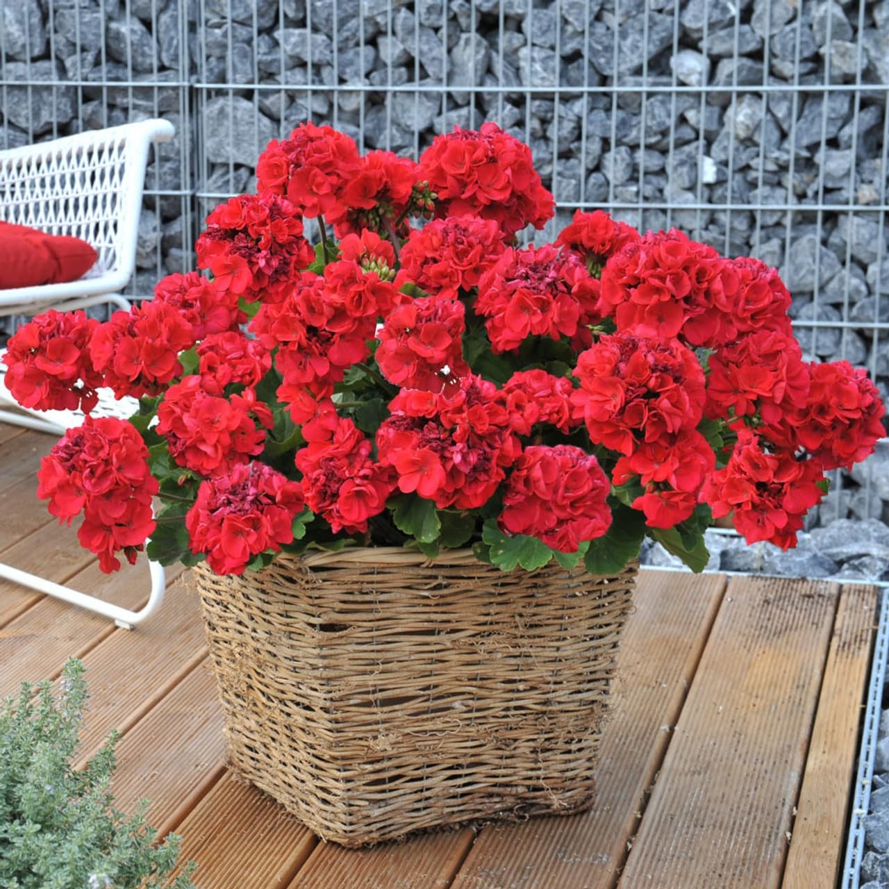 4PCS Artificial Red Geranium Silk Flowers Outdoor Plant Bush Faux Flowers Gerani
