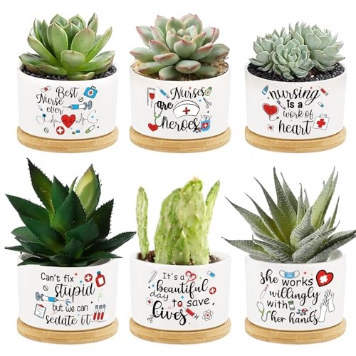 6Pcs Appreciation Gifts Succulent Potss Day Ever Gifts Mini Ceramic Nurse