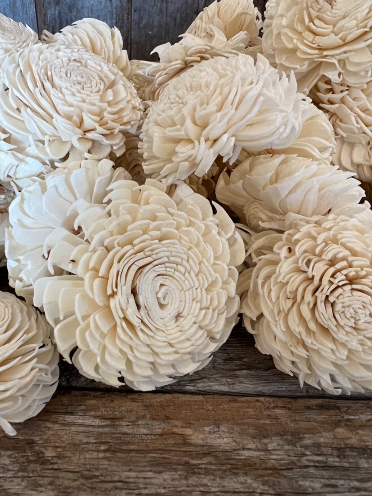 Chorki Belly Sola Wood Flowers – Set of 50 – Craft Flowers