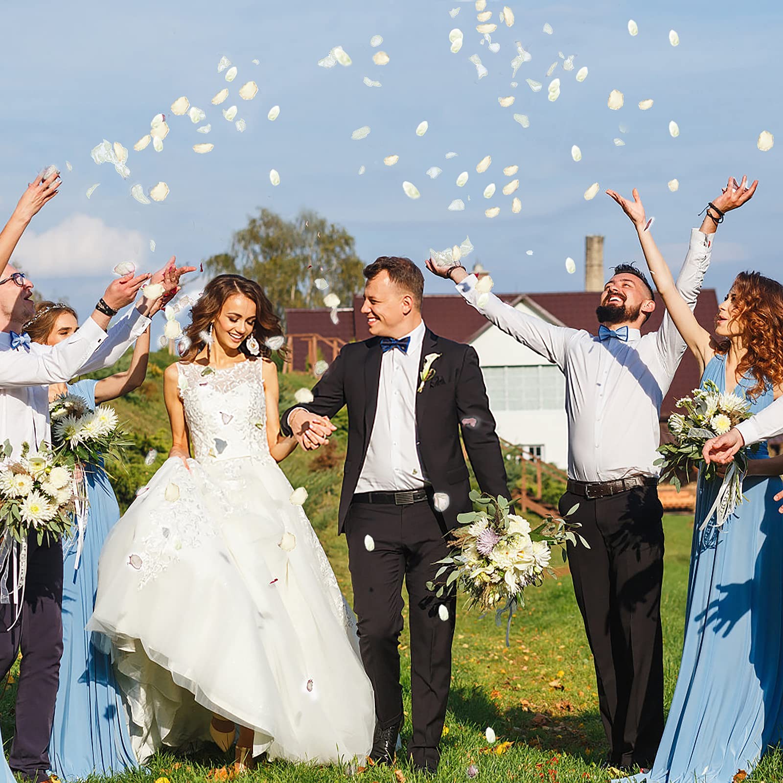 300 PCS Artificial Ivory White Rose Petals Reusable Silk Flower Wedding